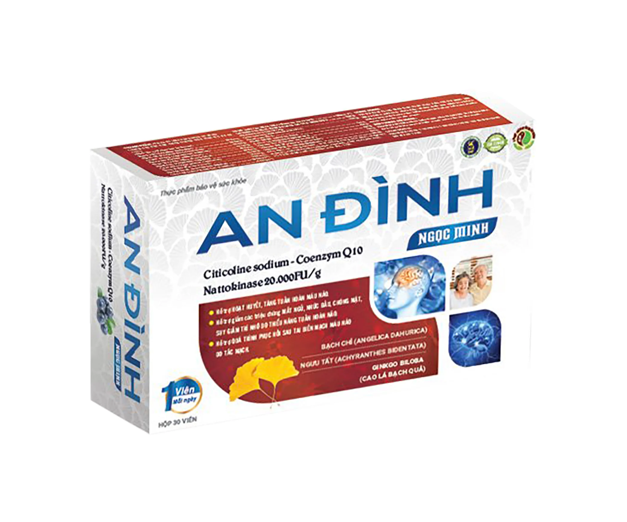 An Đình Ngọc Minh