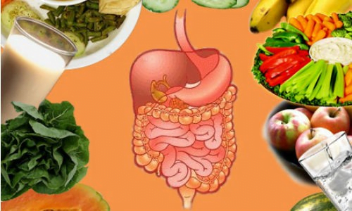 Chế độ ăn uống có ảnh hưởng rất lớn đến các vấn đề tiêu hóa của cơ thể